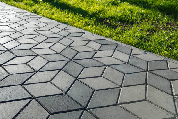 Best Professional Driveway Pavers  in Schler Park, IL