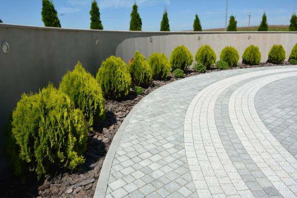 Best Driveway Paving Contractor  in Schler Park, IL